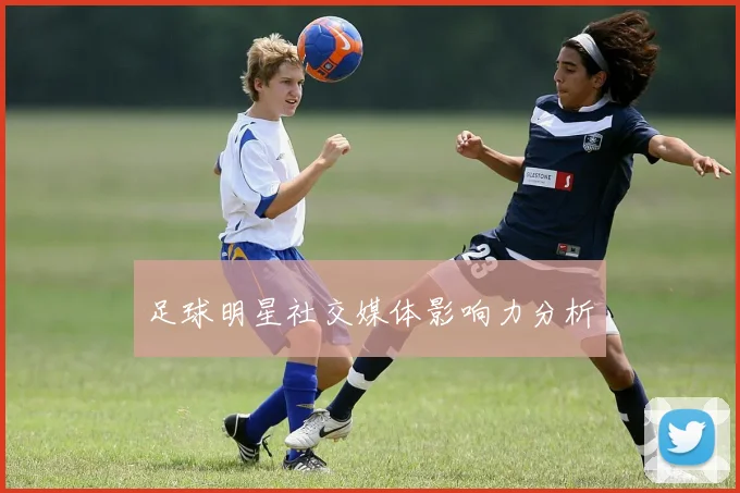 足球明星社交媒体影响力分析