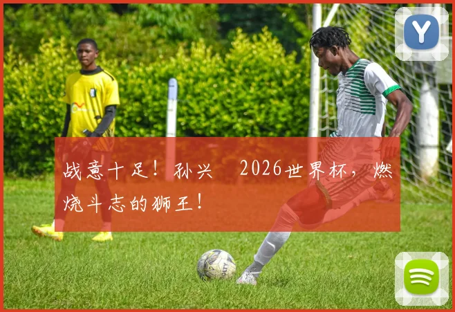 战意十足!孙兴慜2026世界杯,燃烧斗志的狮王!